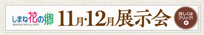 11月・12月展示会