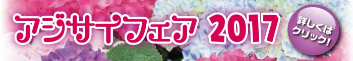 アジサイフェア2017