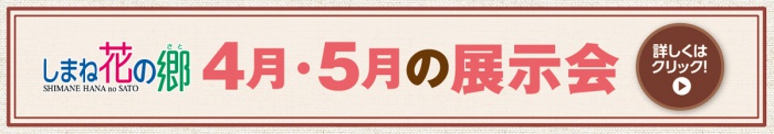 しまね花の郷 4月・5月の展示会