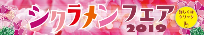シクラメンフェア2019