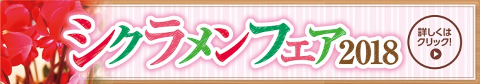 シクラメンフェア2018