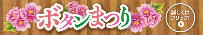 ボタンまつり