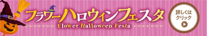 しまね花の郷フラワーハロウィンフェスタ