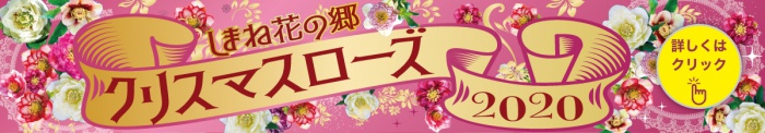 しまね花の郷 クリスマスローズ 2020