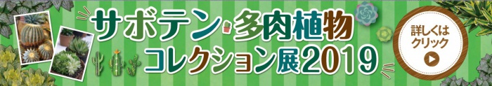サボテン・多肉植物コレクション展2019