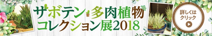 サボテン・多肉植物コレクション展2018