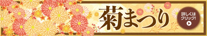 菊まつり