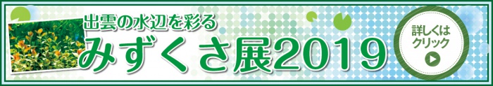 出雲の水辺を彩る みずくさ展2019