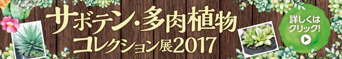 サボテン・多肉植物コレクション展2017