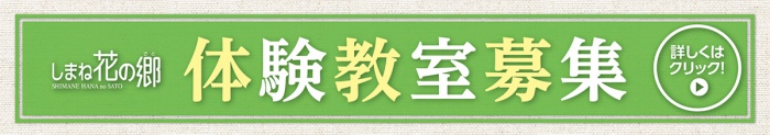 体験教室募集
